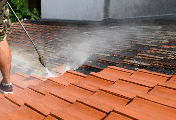 Best Best Pressure Washing Companies  in Leadville North, CO