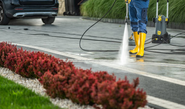 Best Deck Cleaning Services  in Leadville North, CO
