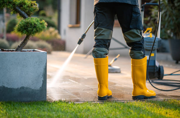 Best Commercial Building Pressure Washing  in Leadville North, CO
